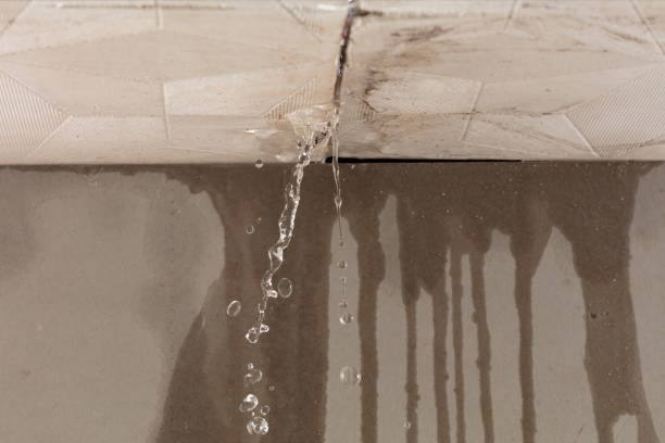 Professional Flood Damage Cleanup technician working in Litchfield, OH